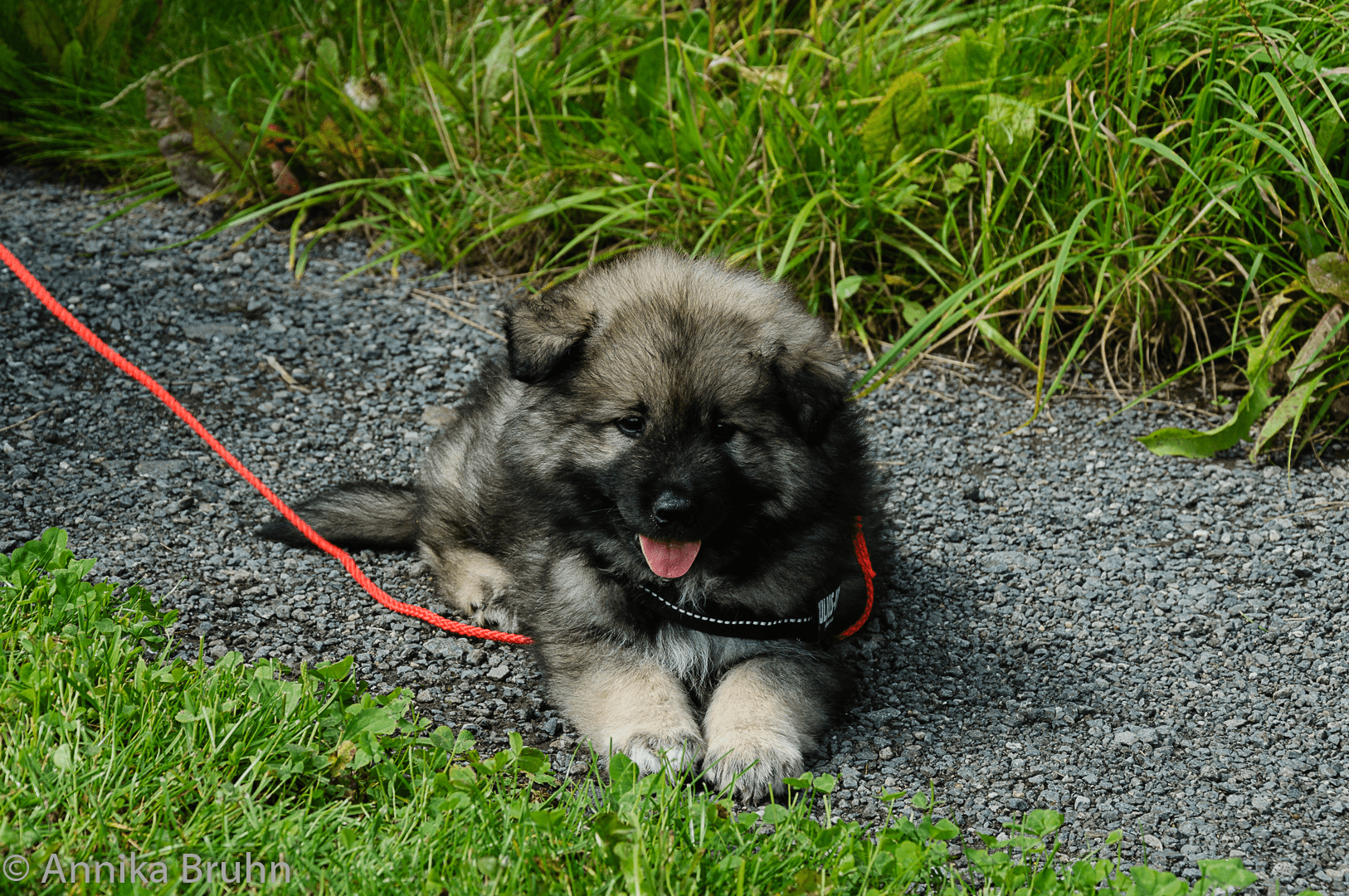 Q´s erstes Bild Baby 8 Wochen alt
